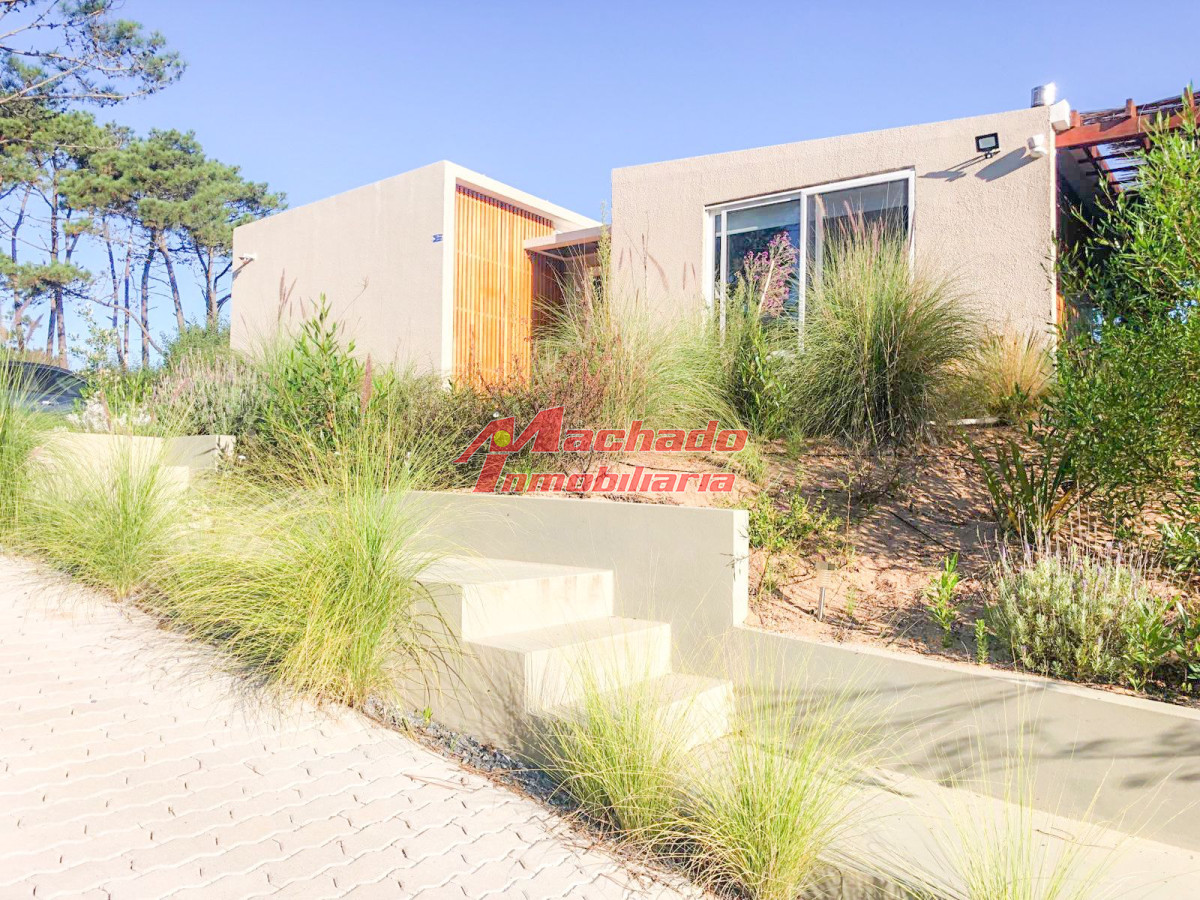 Chihuahua - GoPunta - Portal Inmobiliario de Punta del Este - Maldonado