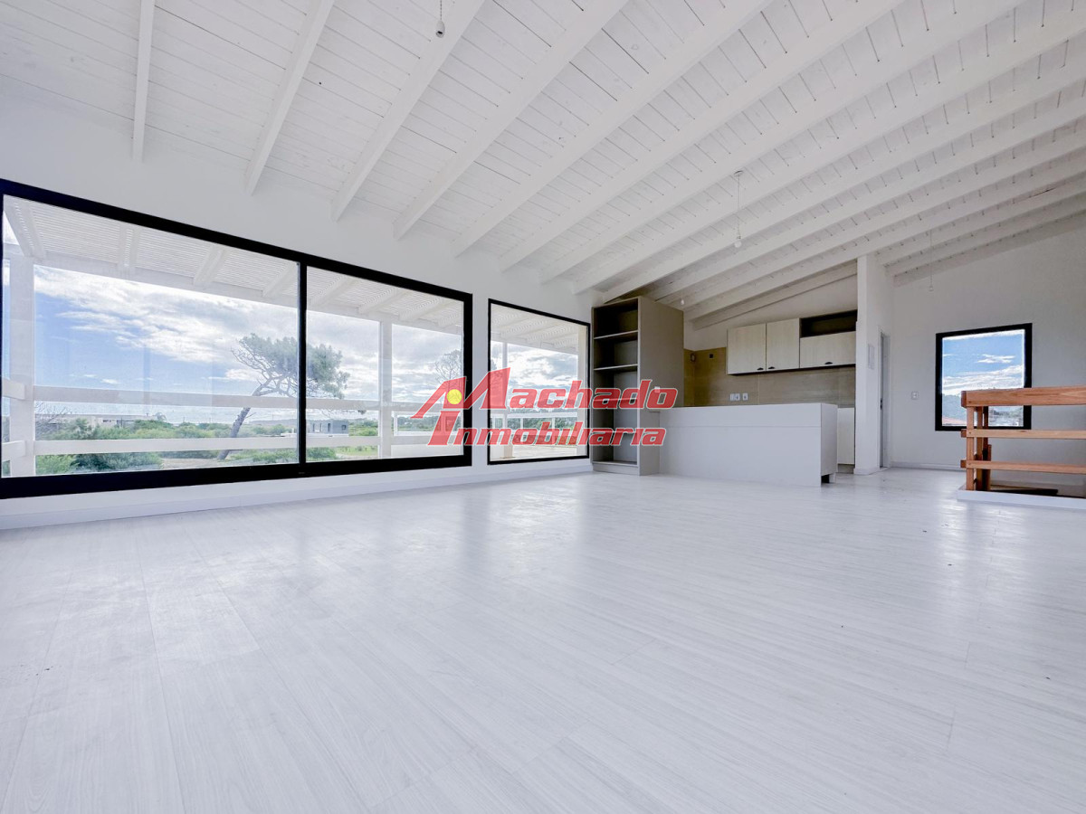 Chihuahua - GoPunta - Portal Inmobiliario de Punta del Este - Maldonado