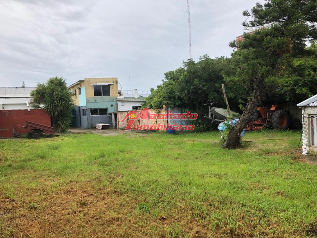 Centro Maldonado - GoPunta - Portal Inmobiliario de Punta del Este - Maldonado