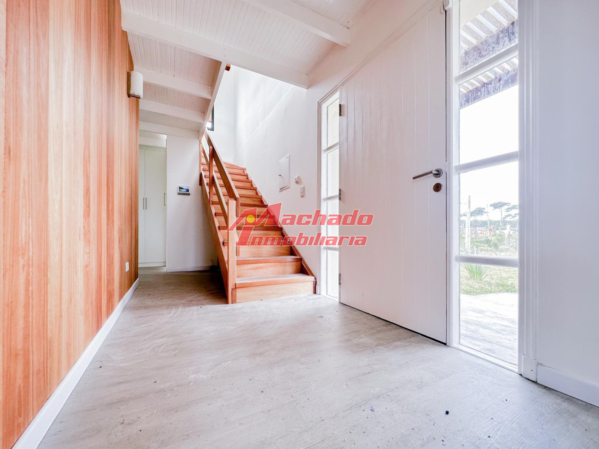 Chihuahua - GoPunta - Portal Inmobiliario de Punta del Este - Maldonado
