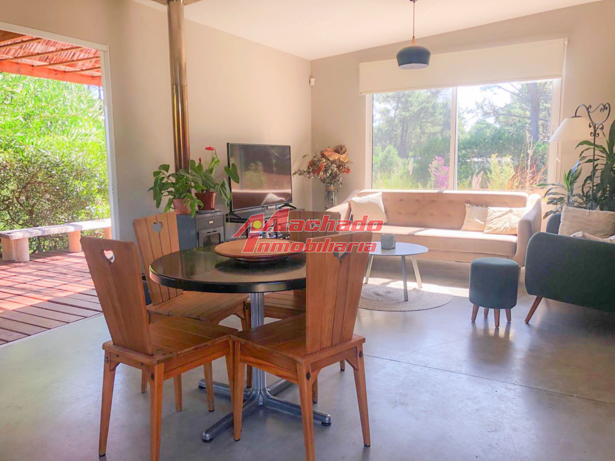 Chihuahua - GoPunta - Portal Inmobiliario de Punta del Este - Maldonado