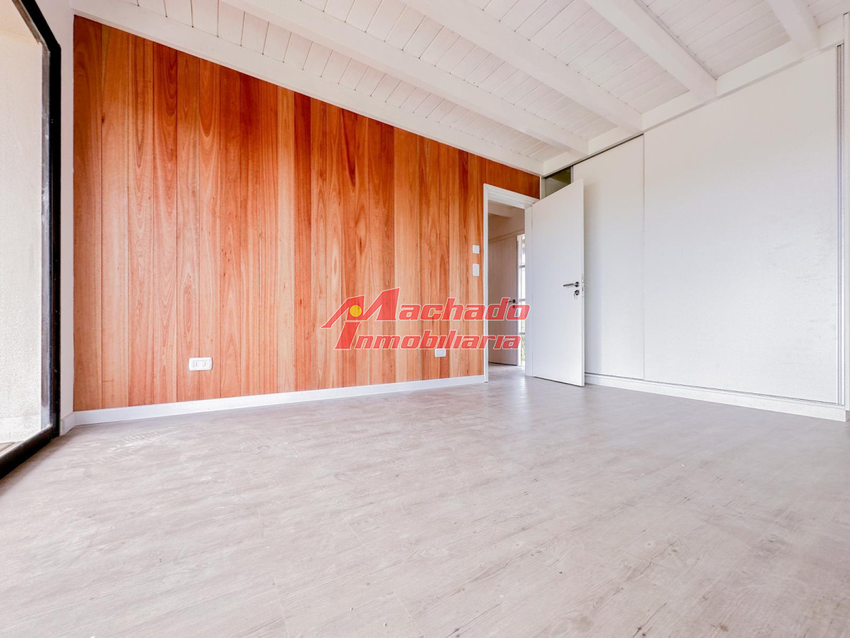 Chihuahua - GoPunta - Portal Inmobiliario de Punta del Este - Maldonado