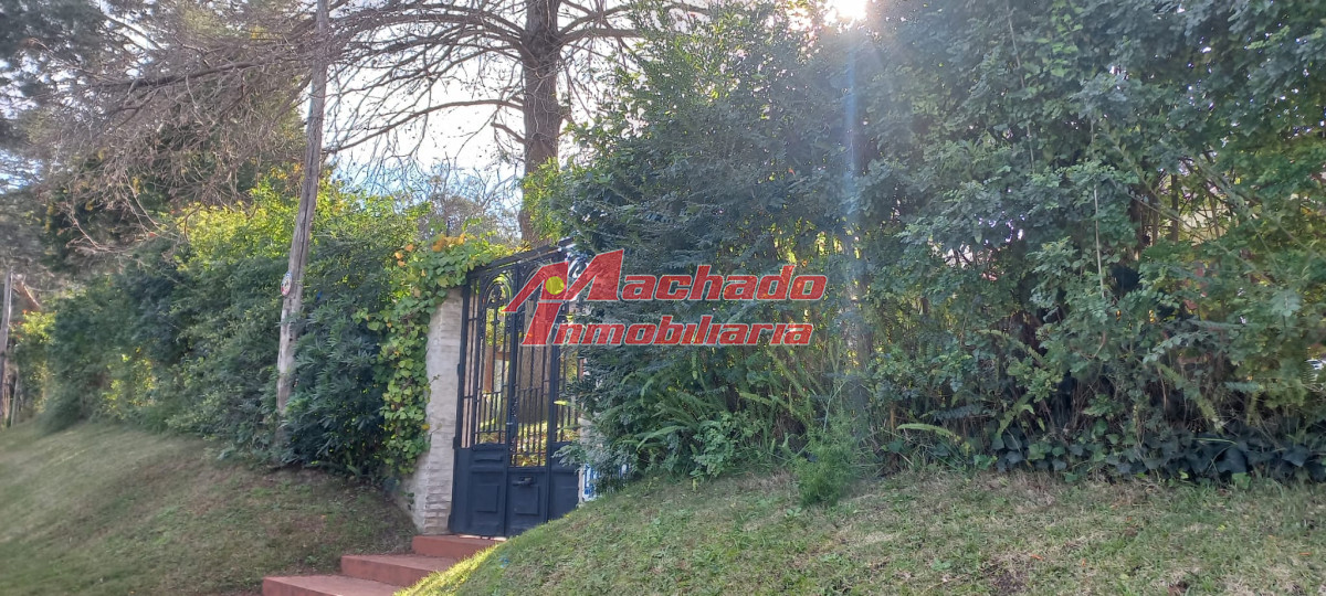 Golf - GoPunta - Portal Inmobiliario de Punta del Este - Maldonado