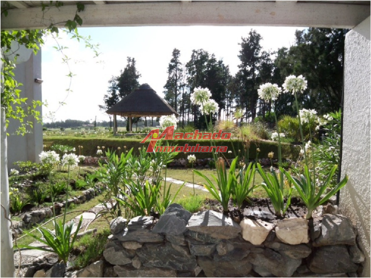Pinares - GoPunta - Portal Inmobiliario de Punta del Este - Maldonado