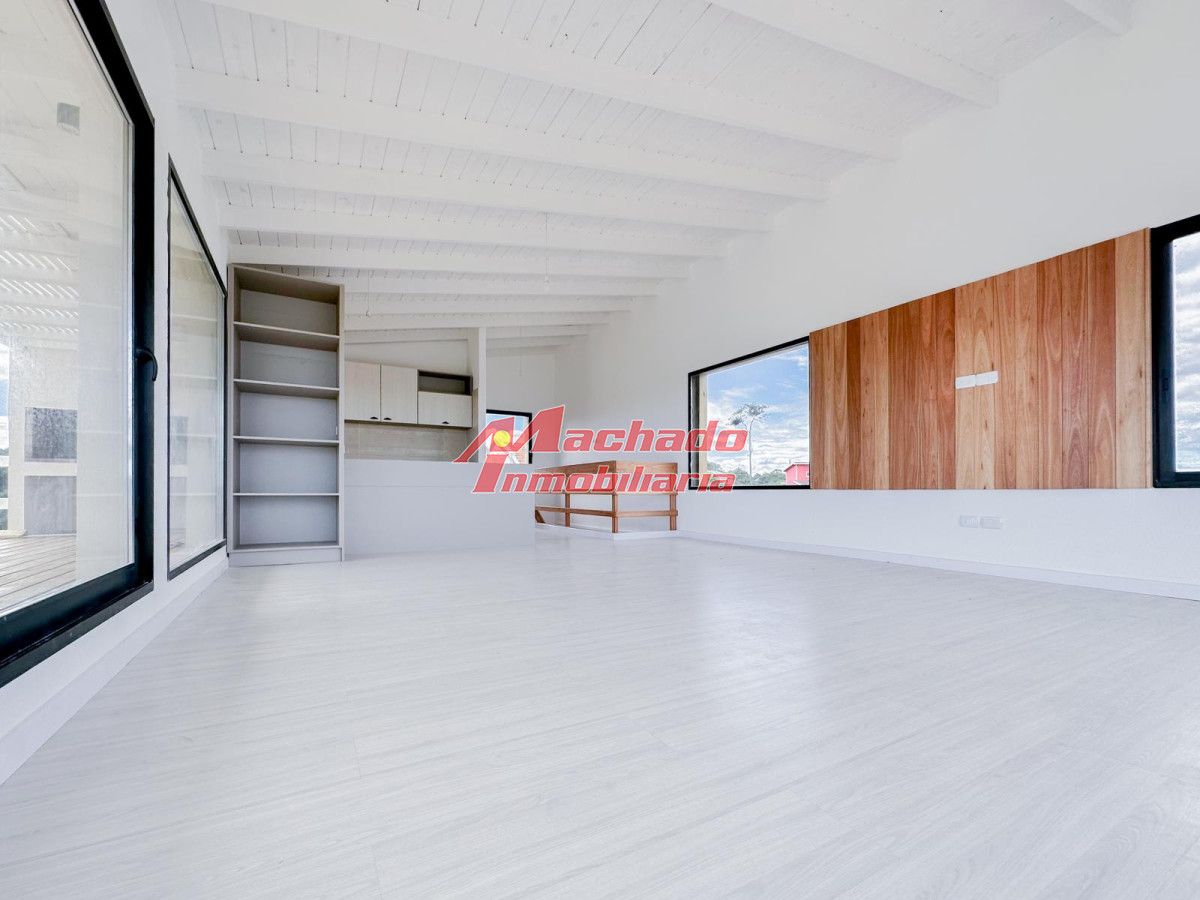 Chihuahua - GoPunta - Portal Inmobiliario de Punta del Este - Maldonado