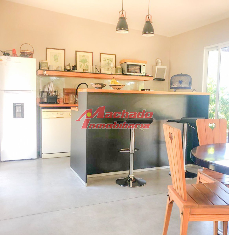 Chihuahua - GoPunta - Portal Inmobiliario de Punta del Este - Maldonado