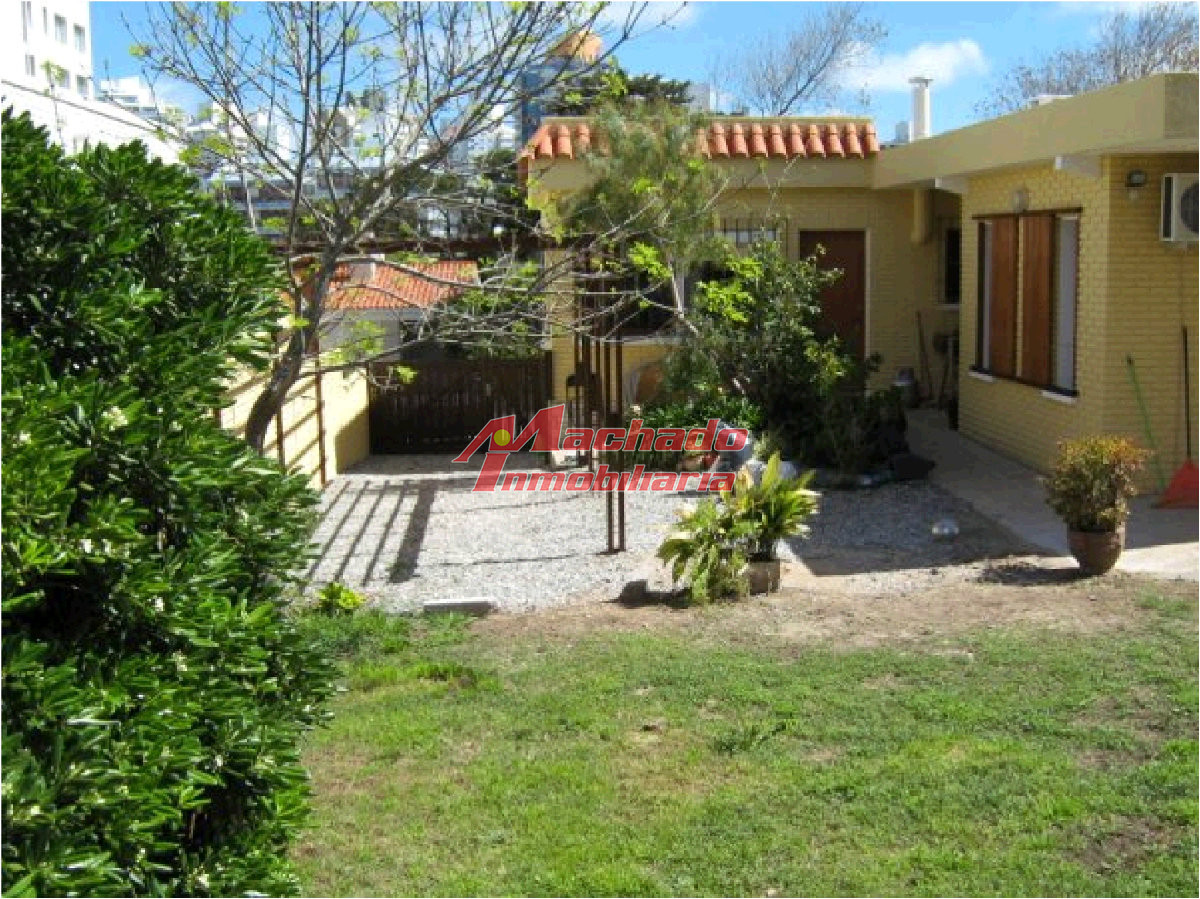 Aidy Grill - GoPunta - Portal Inmobiliario de Punta del Este - Maldonado