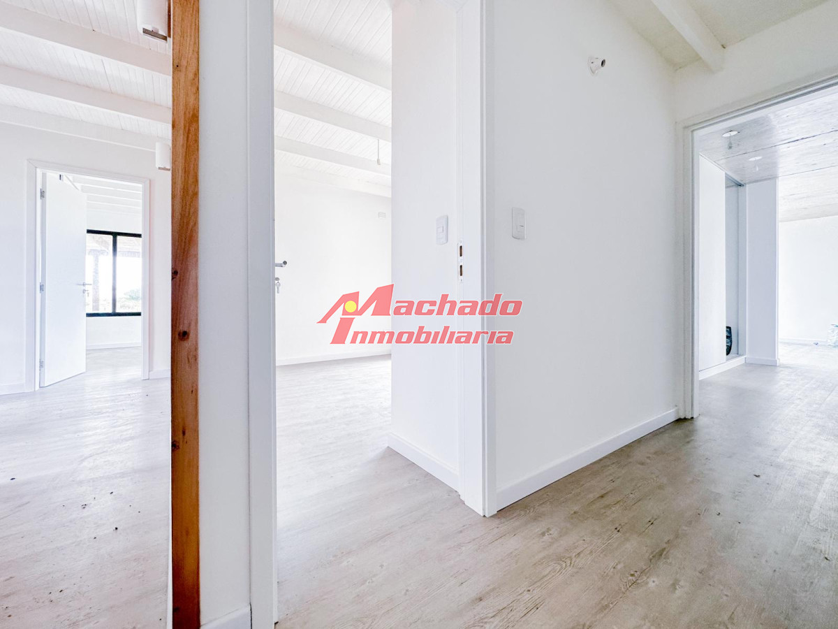 Chihuahua - GoPunta - Portal Inmobiliario de Punta del Este - Maldonado