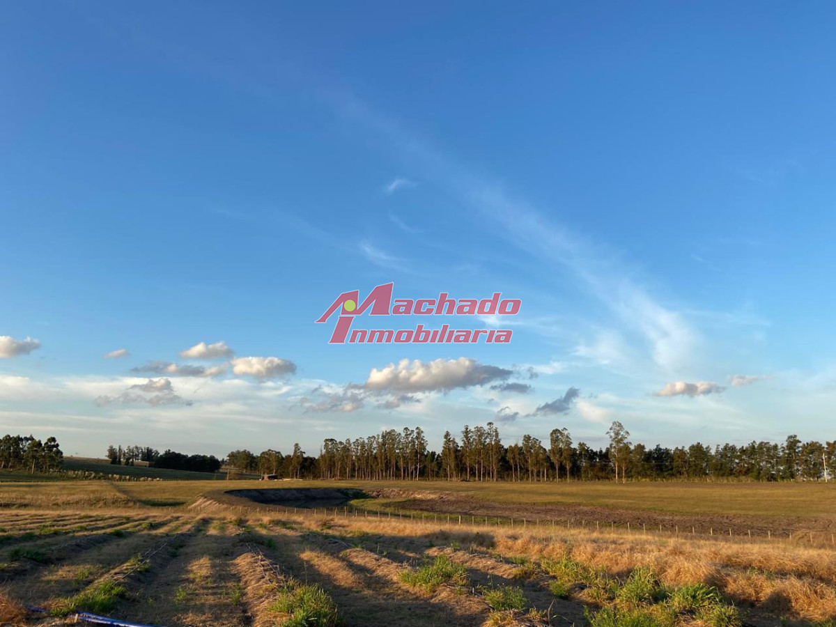 Chacra en venta a 3km del Hotel Fasano - MCH14989H