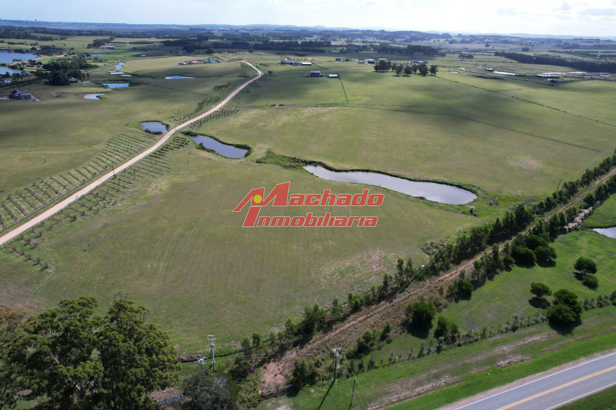Venta de Chacra Ruta 104 - MCH13100H