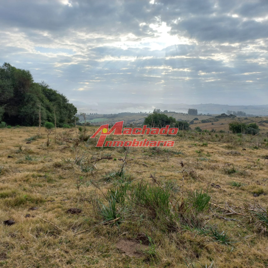 Pueblo Eden - GoPunta - Portal Inmobiliario de Punta del Este - Maldonado