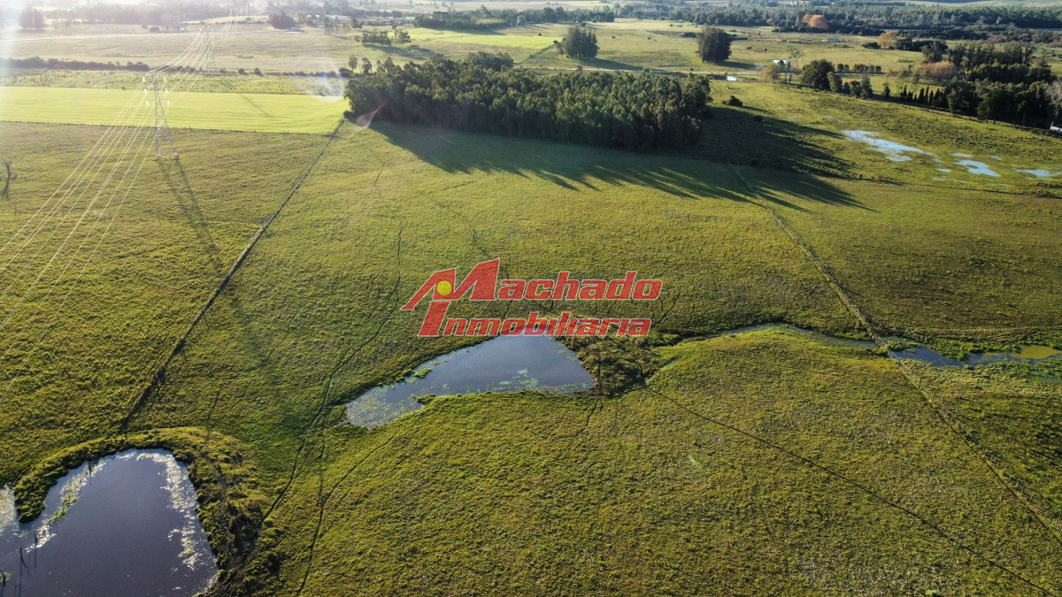 Ruta 104 - GoPunta - Portal Inmobiliario de Punta del Este - Maldonado