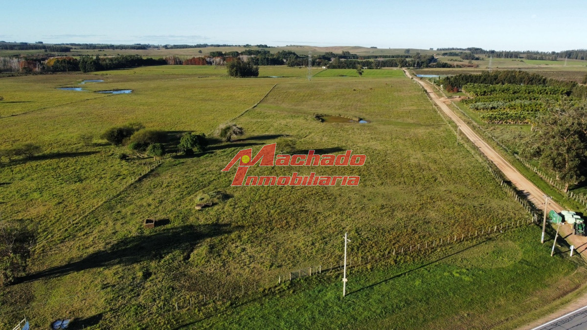 Propiedad - GoPunta - Portal Inmobiliario de Punta del Este - Maldonado