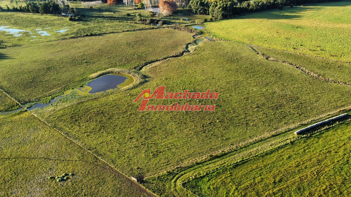 Ruta 104 - GoPunta - Portal Inmobiliario de Punta del Este - Maldonado