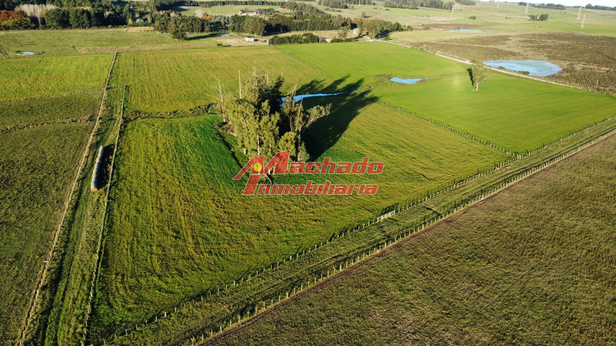 Ruta 104 - GoPunta - Portal Inmobiliario de Punta del Este - Maldonado