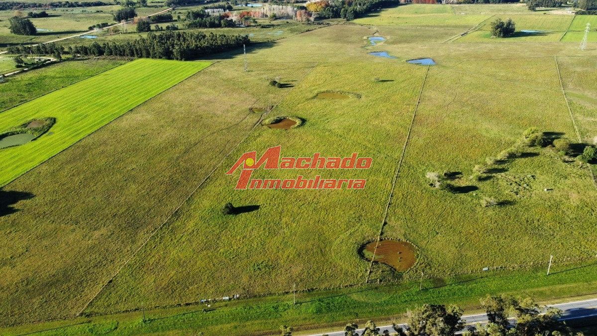 Ruta 104 - GoPunta - Portal Inmobiliario de Punta del Este - Maldonado