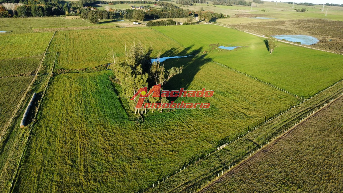 Ruta 104 - GoPunta - Portal Inmobiliario de Punta del Este - Maldonado