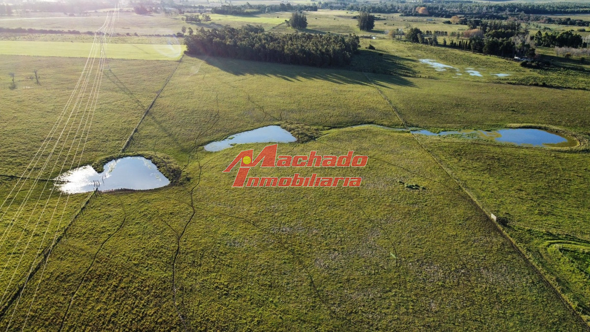 Ruta 104 - GoPunta - Portal Inmobiliario de Punta del Este - Maldonado