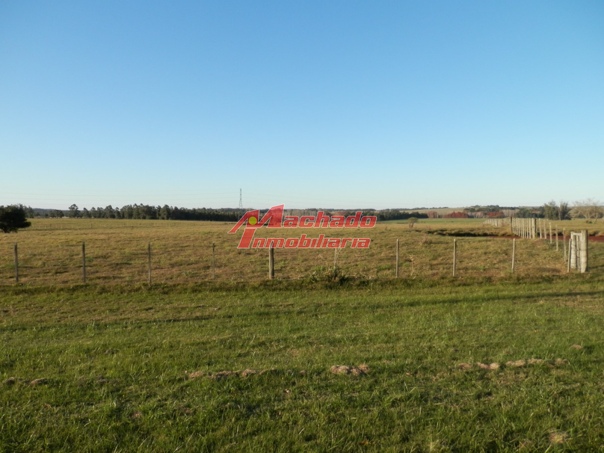 Ruta 104 - GoPunta - Portal Inmobiliario de Punta del Este - Maldonado