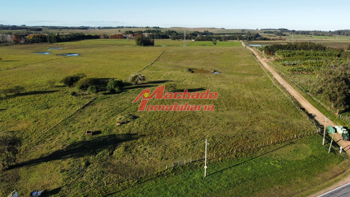 Ruta 104 - GoPunta - Portal Inmobiliario de Punta del Este - Maldonado