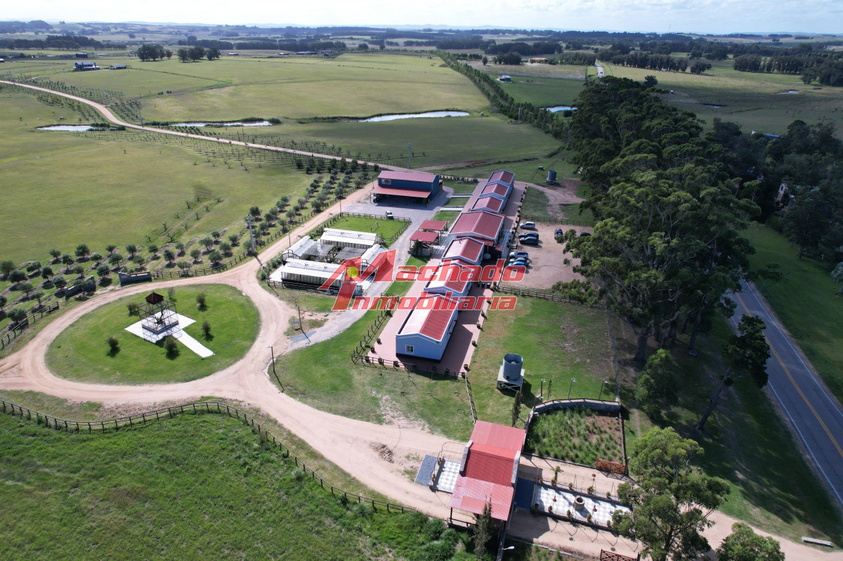 Ruta 104 - GoPunta - Portal Inmobiliario de Punta del Este - Maldonado