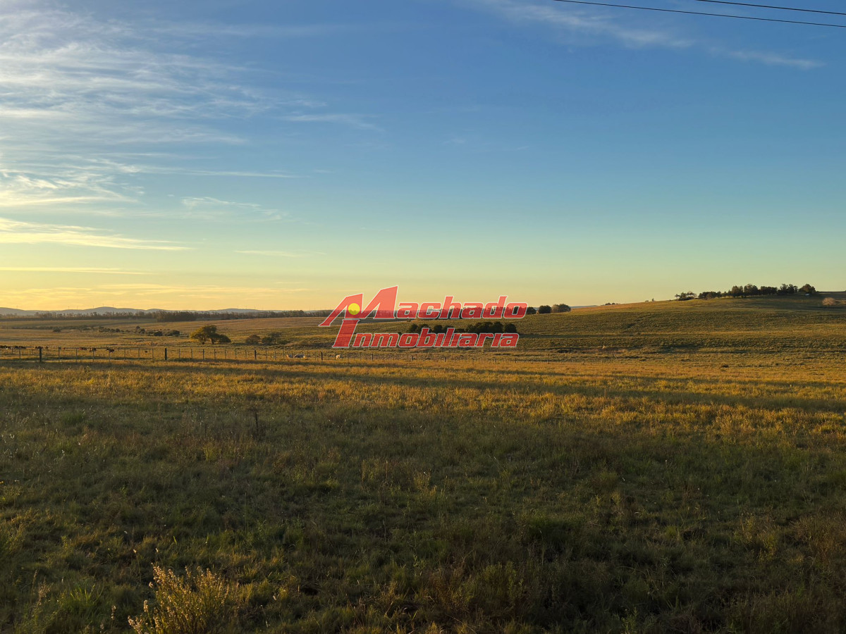 Manantiales - GoPunta - Portal Inmobiliario de Punta del Este - Maldonado