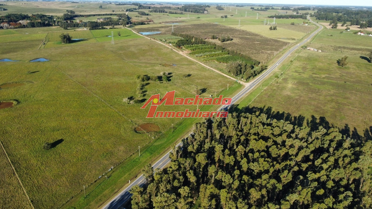 Ruta 104 - GoPunta - Portal Inmobiliario de Punta del Este - Maldonado