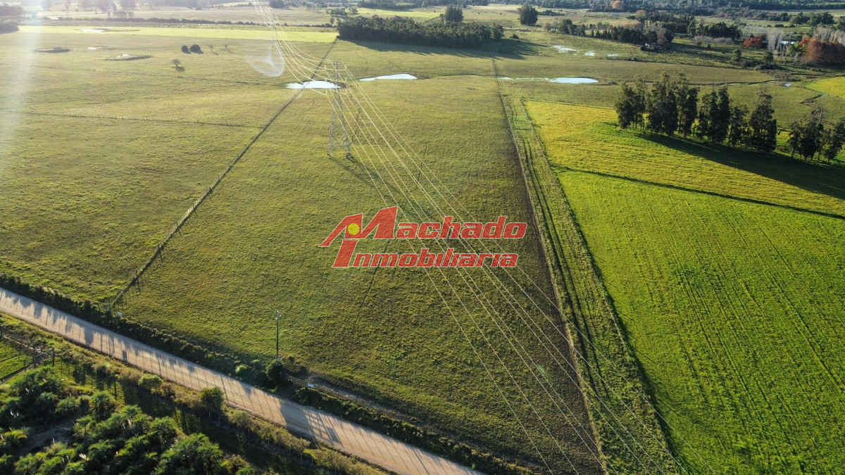 Ruta 104 - GoPunta - Portal Inmobiliario de Punta del Este - Maldonado