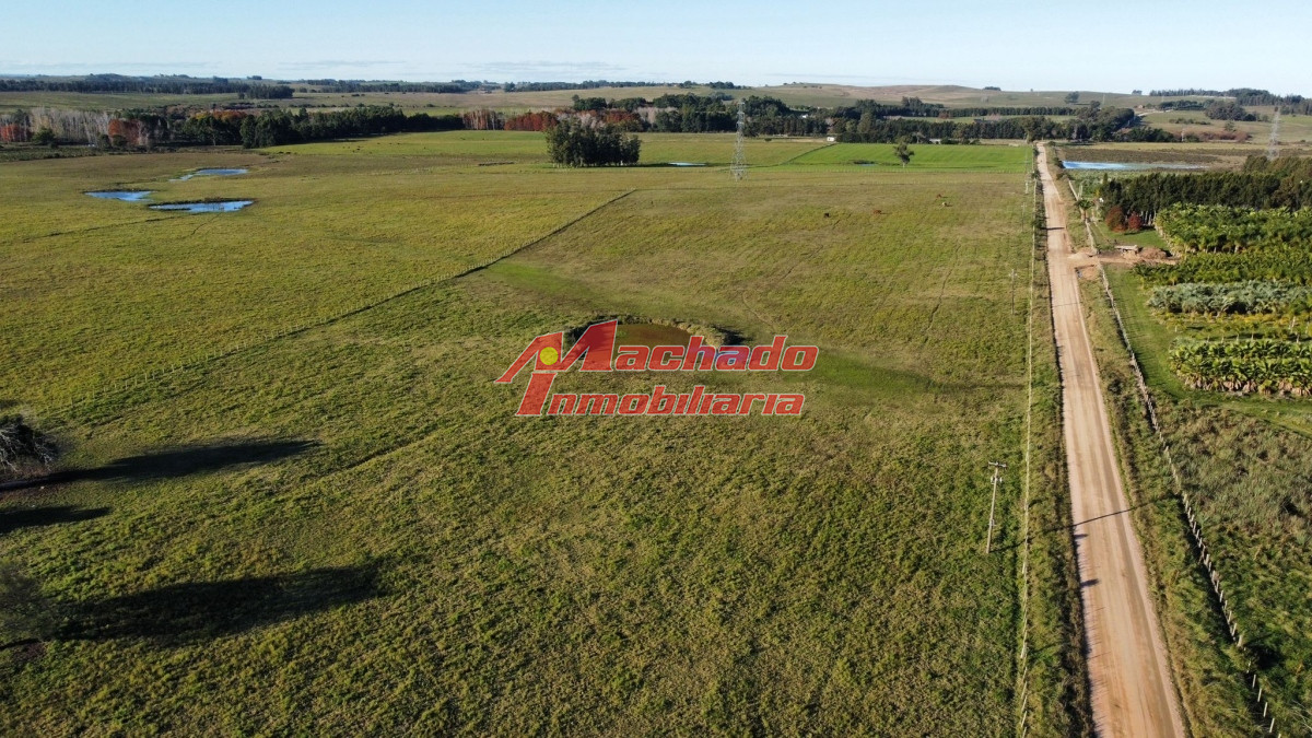 Ruta 104 - GoPunta - Portal Inmobiliario de Punta del Este - Maldonado