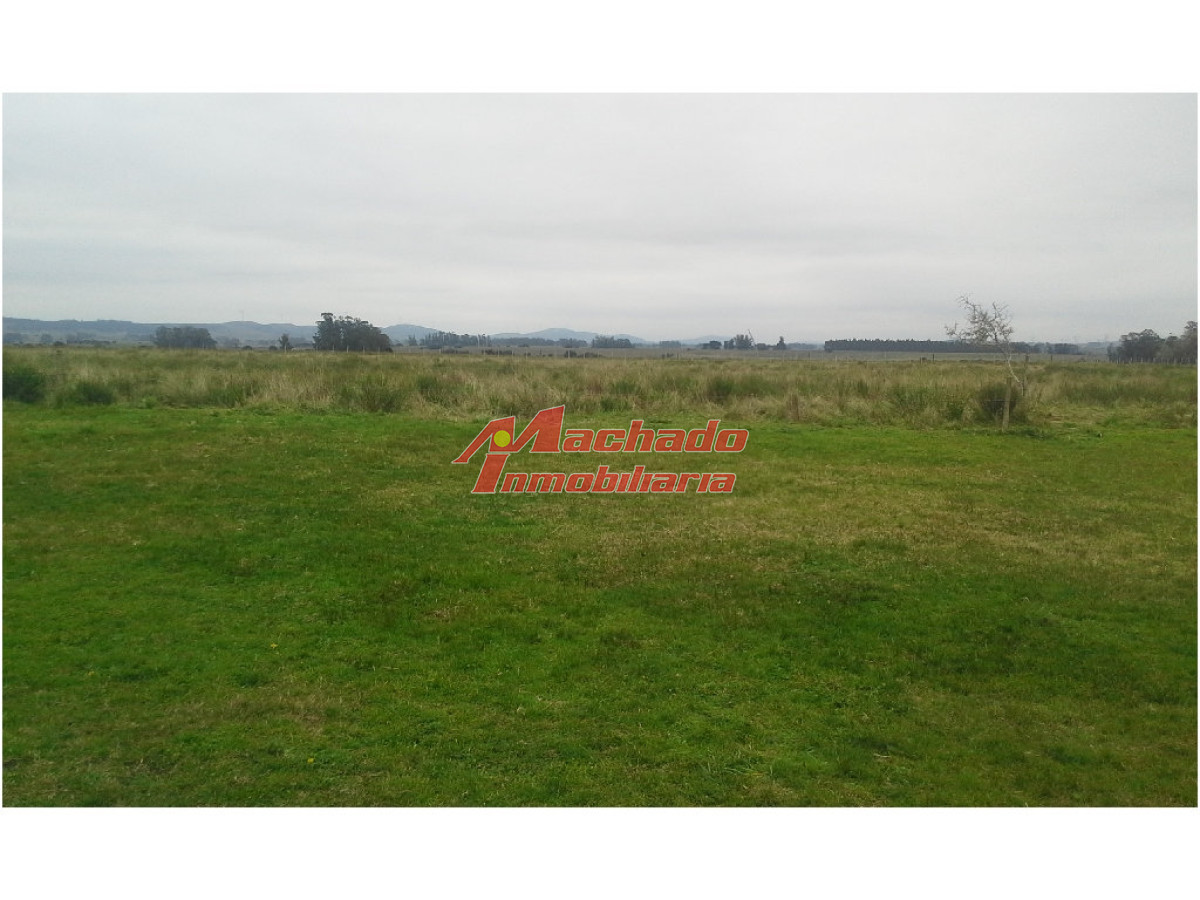 Zona Rural - GoPunta - Portal Inmobiliario de Punta del Este - Maldonado