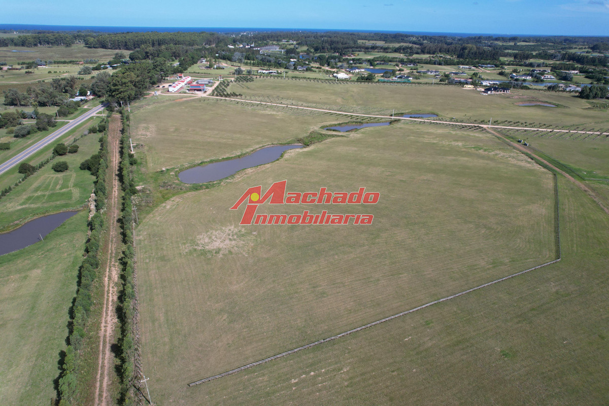 Ruta 104 - GoPunta - Portal Inmobiliario de Punta del Este - Maldonado