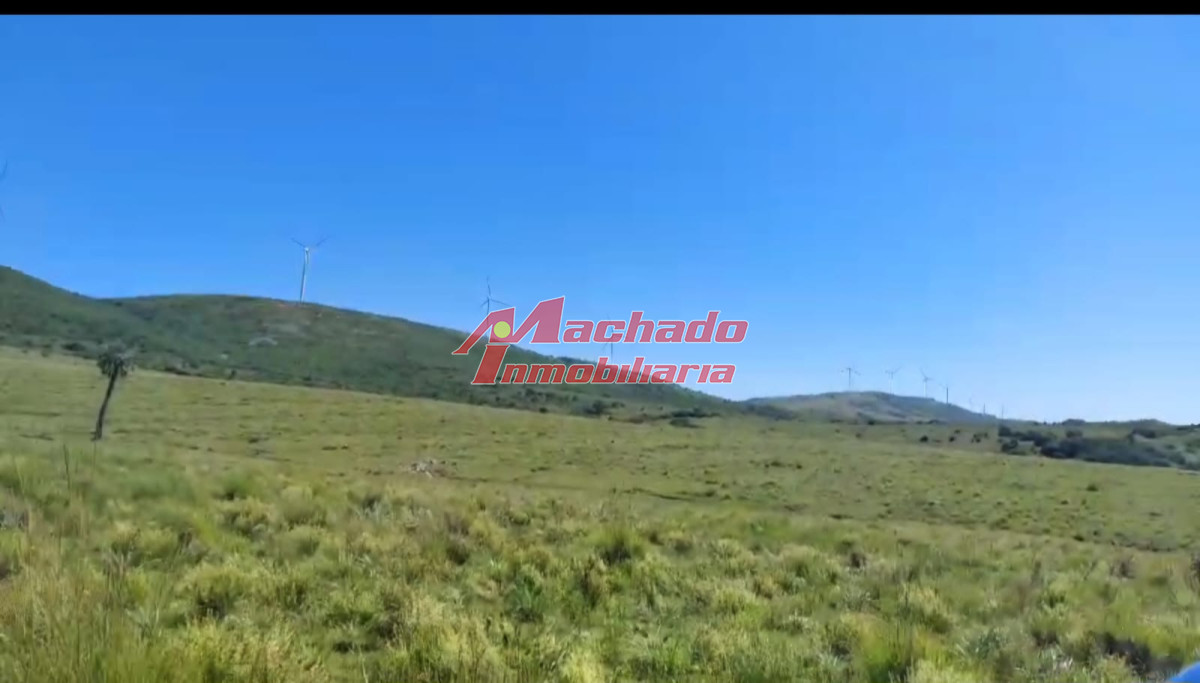 Ruta 39 - GoPunta - Portal Inmobiliario de Punta del Este - Maldonado