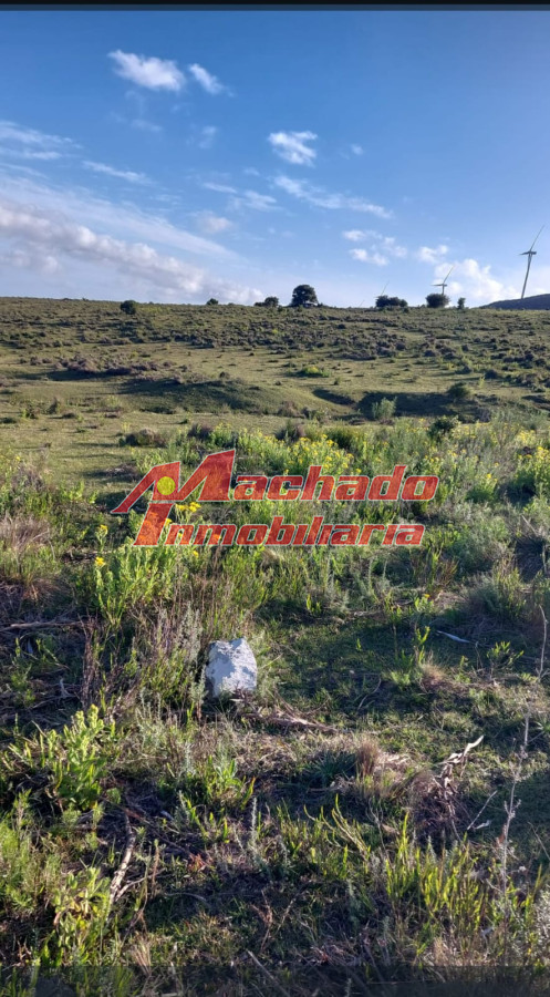Ruta 39 - GoPunta - Portal Inmobiliario de Punta del Este - Maldonado