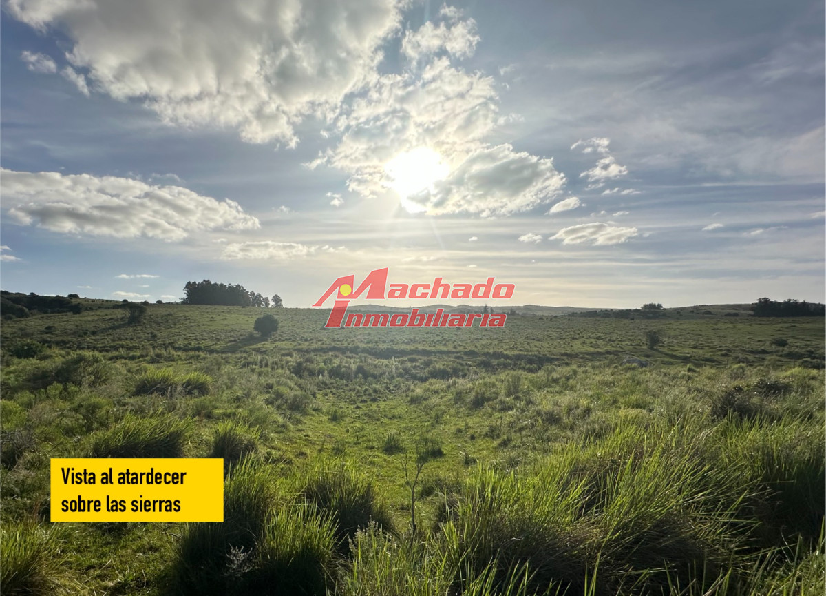 Pueblo Eden - GoPunta - Portal Inmobiliario de Punta del Este - Maldonado