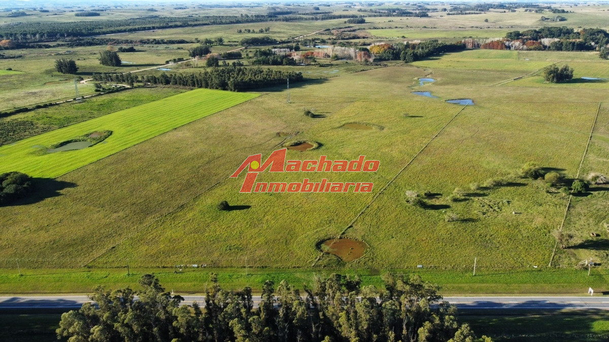 Ruta 104 - GoPunta - Portal Inmobiliario de Punta del Este - Maldonado
