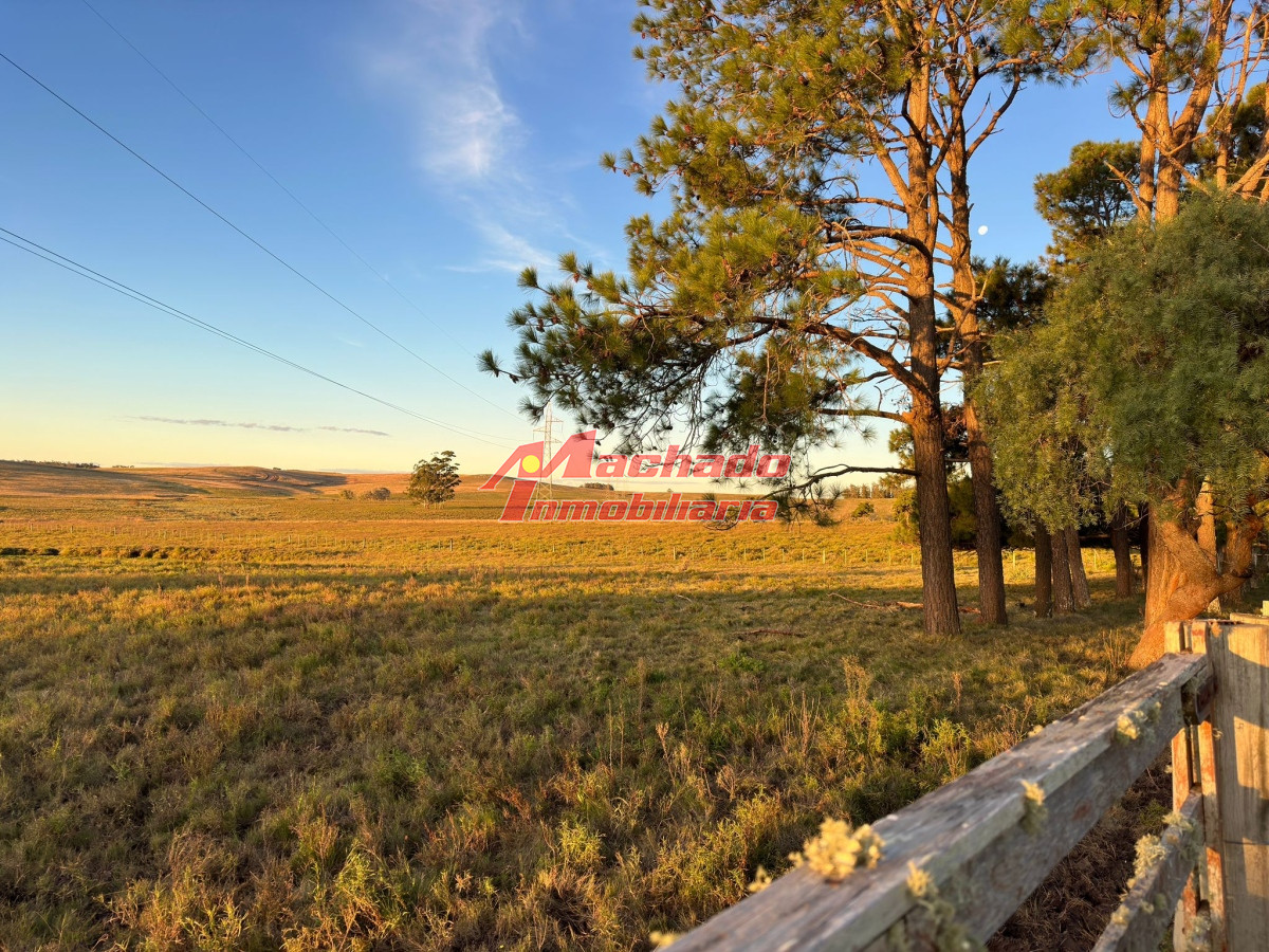 Manantiales - GoPunta - Portal Inmobiliario de Punta del Este - Maldonado