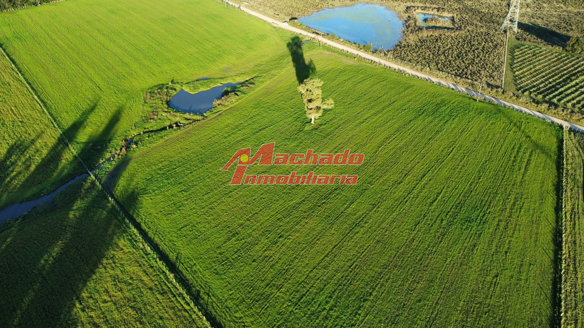 Ruta 104 - GoPunta - Portal Inmobiliario de Punta del Este - Maldonado