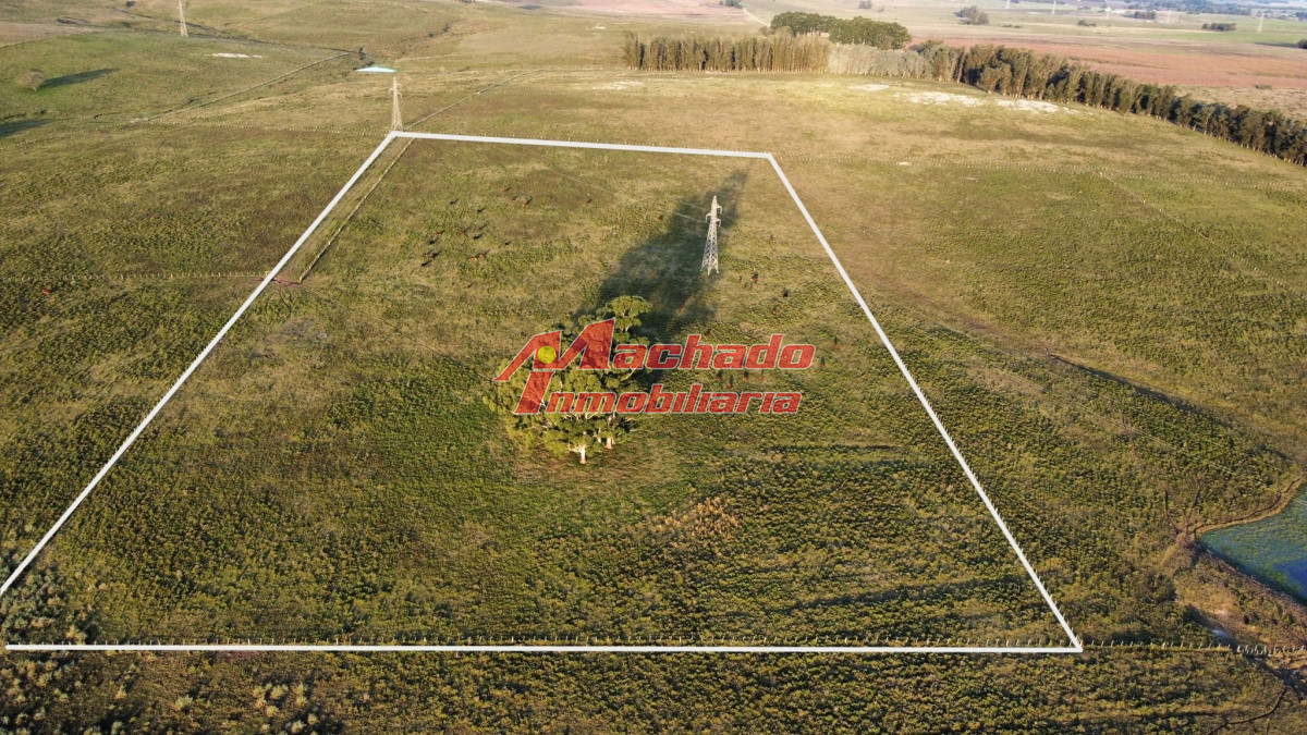 Manantiales - GoPunta - Portal Inmobiliario de Punta del Este - Maldonado