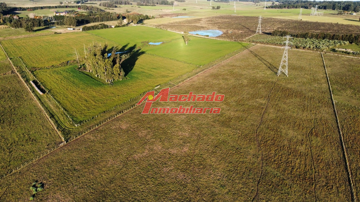 Ruta 104 - GoPunta - Portal Inmobiliario de Punta del Este - Maldonado