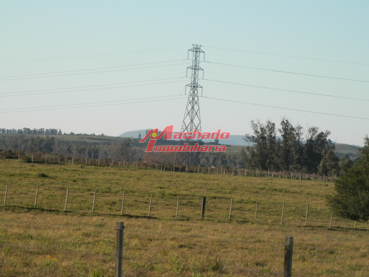 Ruta 104 - GoPunta - Portal Inmobiliario de Punta del Este - Maldonado
