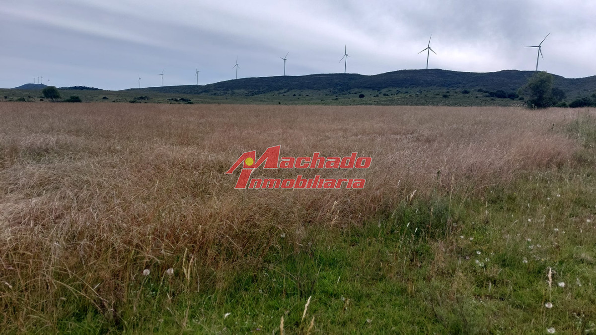 Ruta 39 - GoPunta - Portal Inmobiliario de Punta del Este - Maldonado