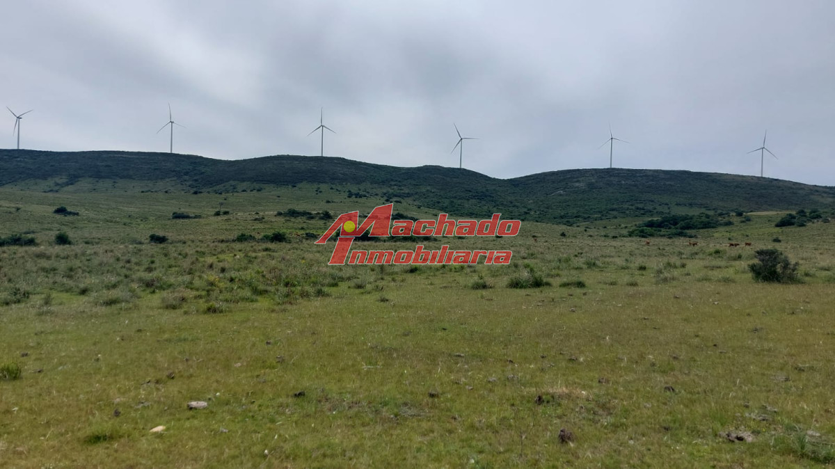 Ruta 39 - GoPunta - Portal Inmobiliario de Punta del Este - Maldonado