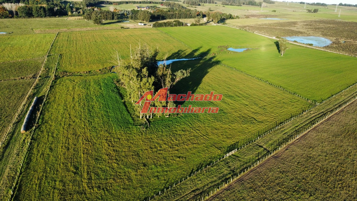 Ruta 104 - GoPunta - Portal Inmobiliario de Punta del Este - Maldonado