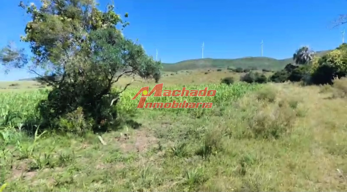 Ruta 39 - GoPunta - Portal Inmobiliario de Punta del Este - Maldonado