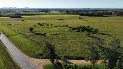 venta de chacra sobre ruta 104