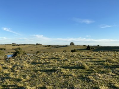 Venta de chacra de 6 Hectareas en Garzón