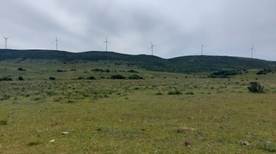 Venta de Chacra de 6 hectáreas en Ruta 39 