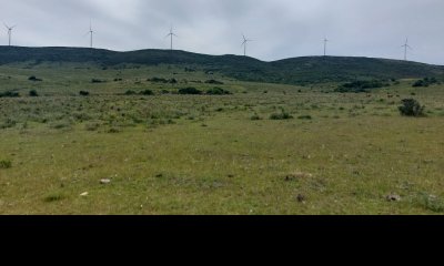Venta de chacra de 5 hectáreas en Ruta 39