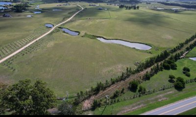 Venta de Chacra Ruta 104