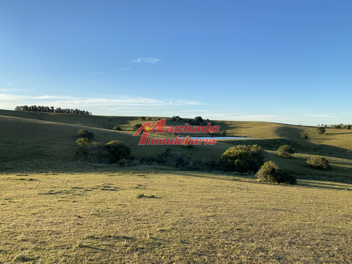 Venta de chacra de 6 Hectareas en Garzón